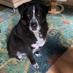 Thumbnail photo of BERT #2