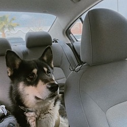 Photo of klaus