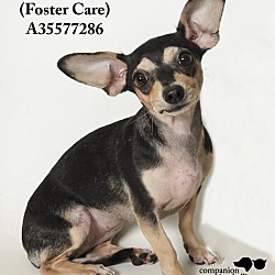 Thumbnail photo of Maria  (Foster Care) #1