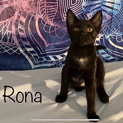 Thumbnail photo of Rona #2