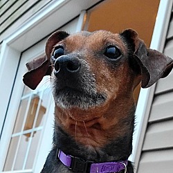 Thumbnail photo of Jiggy #2