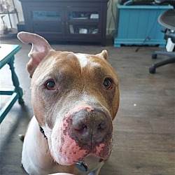Photo of Jojo