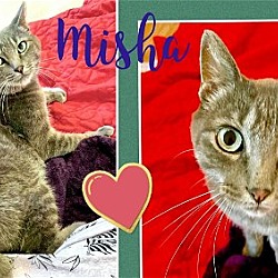 Thumbnail photo of MISHA #1