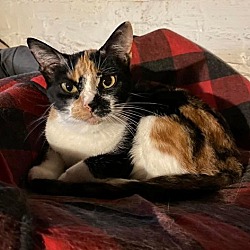 Photo of Quara