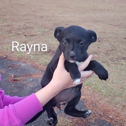 Photo of Rayna