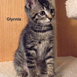 Thumbnail photo of Glynnis #1