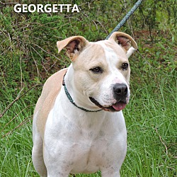 Photo of Georgetta