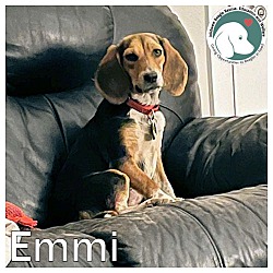 Photo of Emmi