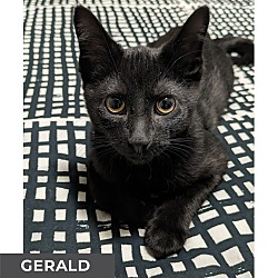 Thumbnail photo of Gerald #4