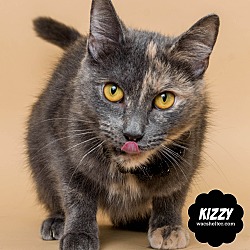 Thumbnail photo of Kizzy #2