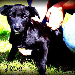 Thumbnail photo of Jane ~ meet me! #1