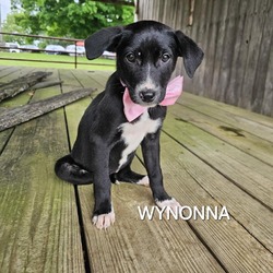 Photo of Wynonna