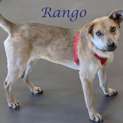 Photo of Rango (D24-062)
