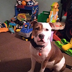 Photo of Lola