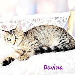 Thumbnail photo of Davina #4