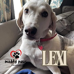 Thumbnail photo of Lexi (Courtesy Post) #1