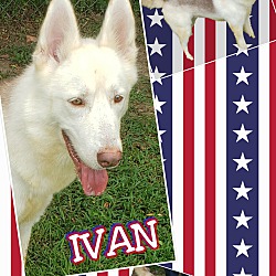 Photo of Ivan
