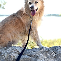 Photo of Waylon