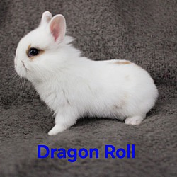 Thumbnail photo of Dragon Roll #2
