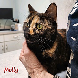 Thumbnail photo of Molly #2