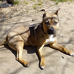 Thumbnail photo of Tippy #1