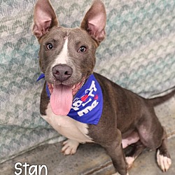 Photo of Stan