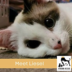 Thumbnail photo of Liesel #1