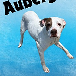 Thumbnail photo of Aubery #1
