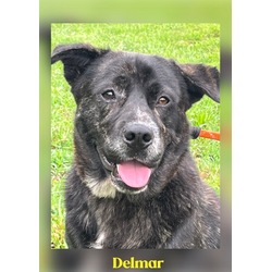 Thumbnail photo of Delmar #1