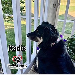 Thumbnail photo of Kadie #3
