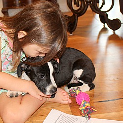 Thumbnail photo of Louise~adopted! #3