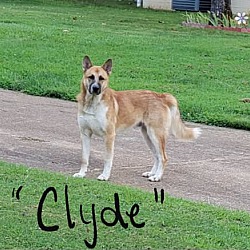 Photo of Clyde