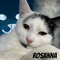 Thumbnail photo of Roseanna #1