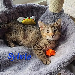 Photo of Sylvie