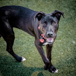 Thumbnail photo of Florence A2154712 #3