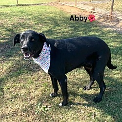 Thumbnail photo of Abby #2