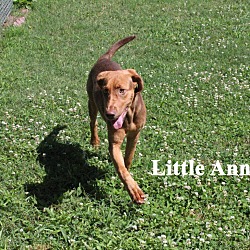 Thumbnail photo of Little Ann #1