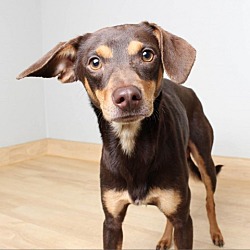 Photo of Lucky D13711