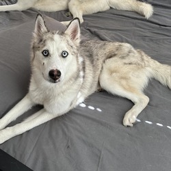 Photo of Socks