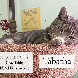 Thumbnail photo of Tabatha #3