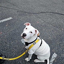 Photo of Ruffles