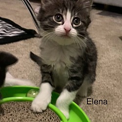 Photo of Elena