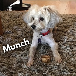 Photo of Munch