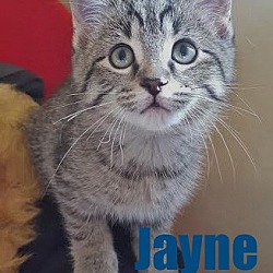 Thumbnail photo of Jayne - Adopted Nov 2015 #2