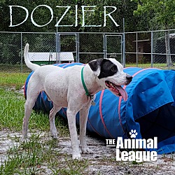 Thumbnail photo of Dozier #2