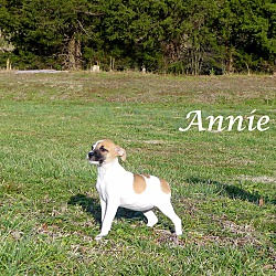 Thumbnail photo of Annie ~ meet me! #3