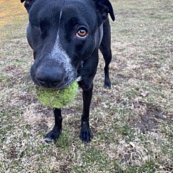 Photo of Annie