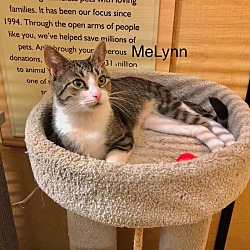 Photo of MeLynn