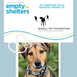 Photo of Mitchell - $50 Bissell Sponsored Adoption Fee!