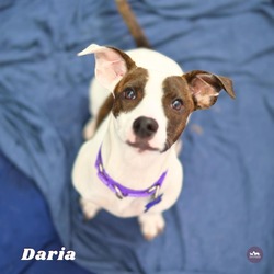 Photo of Daria